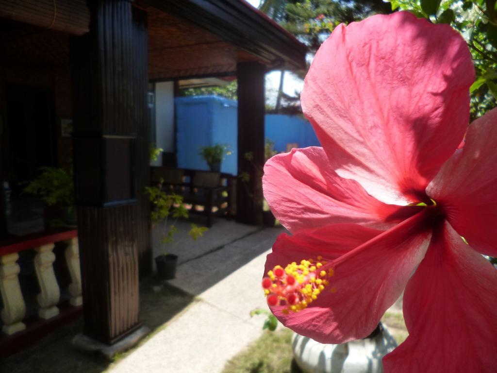 Casakeja Inn Панглао Экстерьер фото